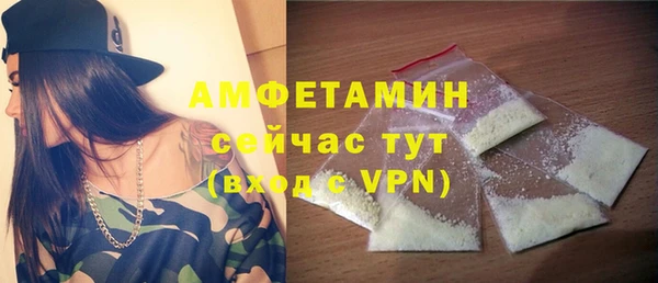 молекула духа Вязьма