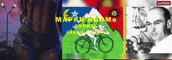 ГАЛЛЮЦИНОГЕННЫЕ ГРИБЫ Вяземский