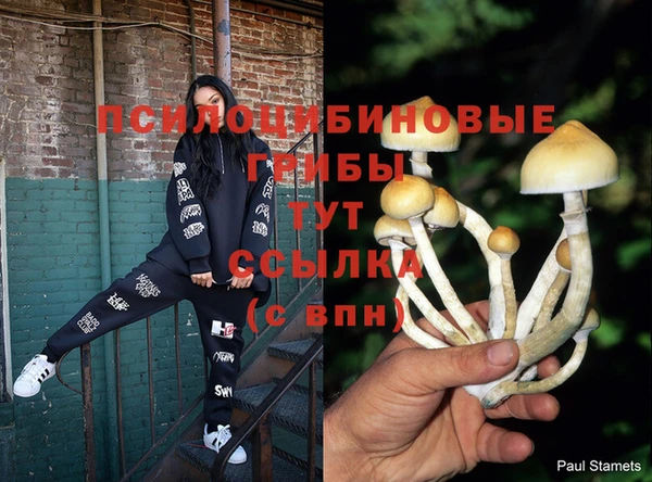 mdma Вязники