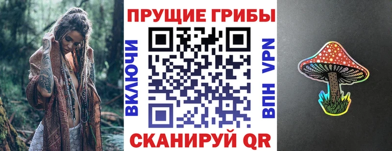 Псилоцибиновые грибы мицелий  Купить где  Луховицы 