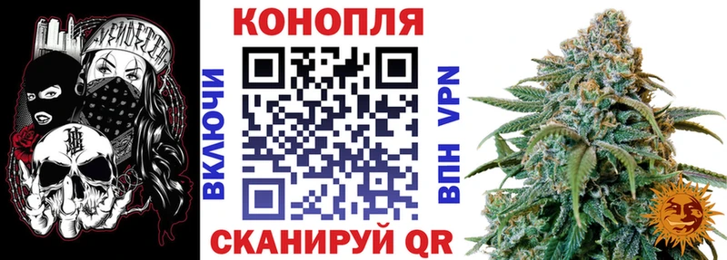 Купить  Луховицы  Бошки Шишки ГИДРОПОН 
